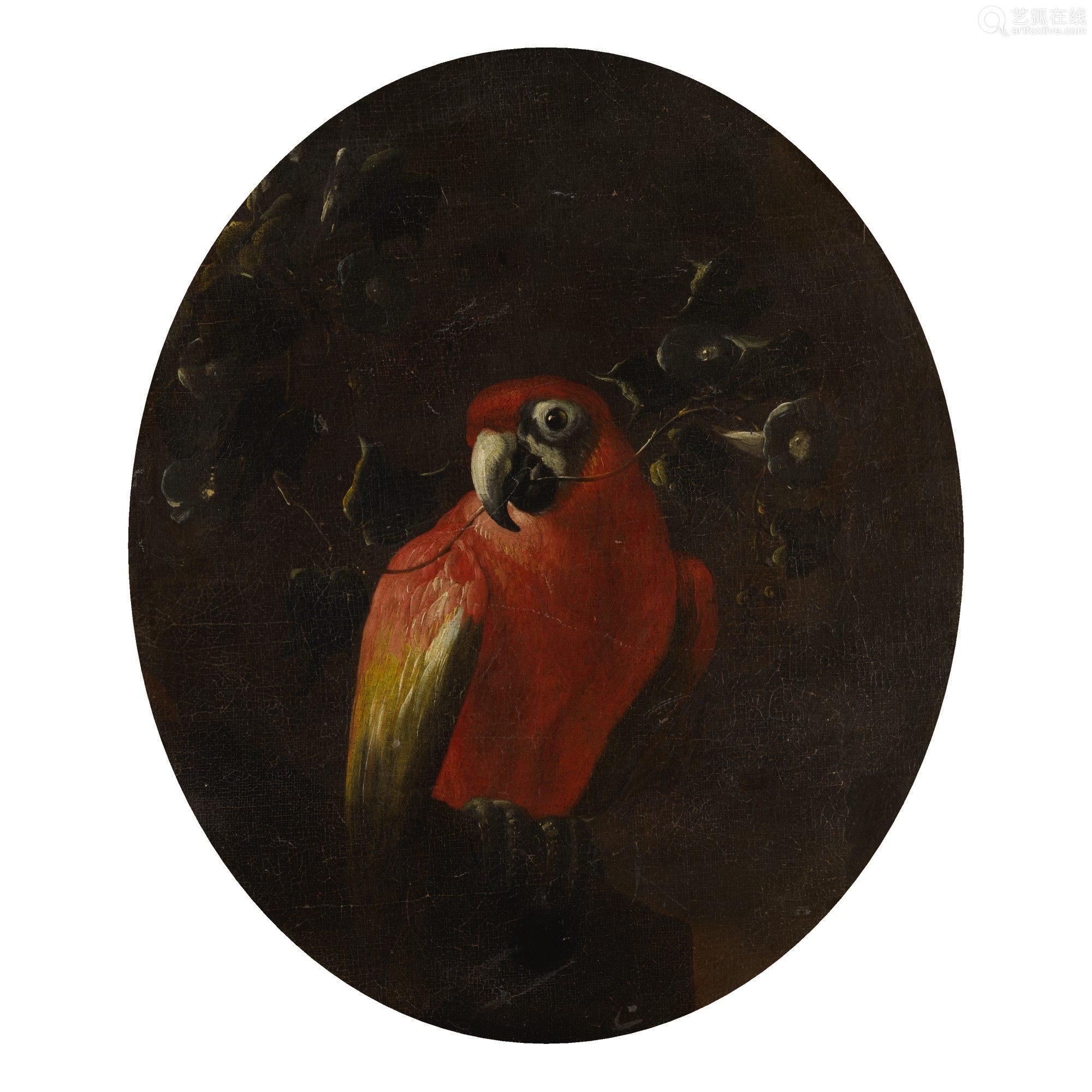 continental school, 19th century | red parrot with a branch in