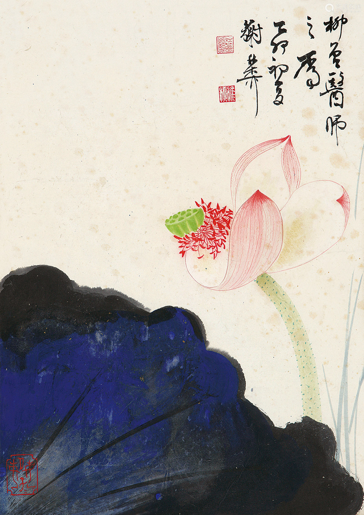 谢稚柳夏荷图