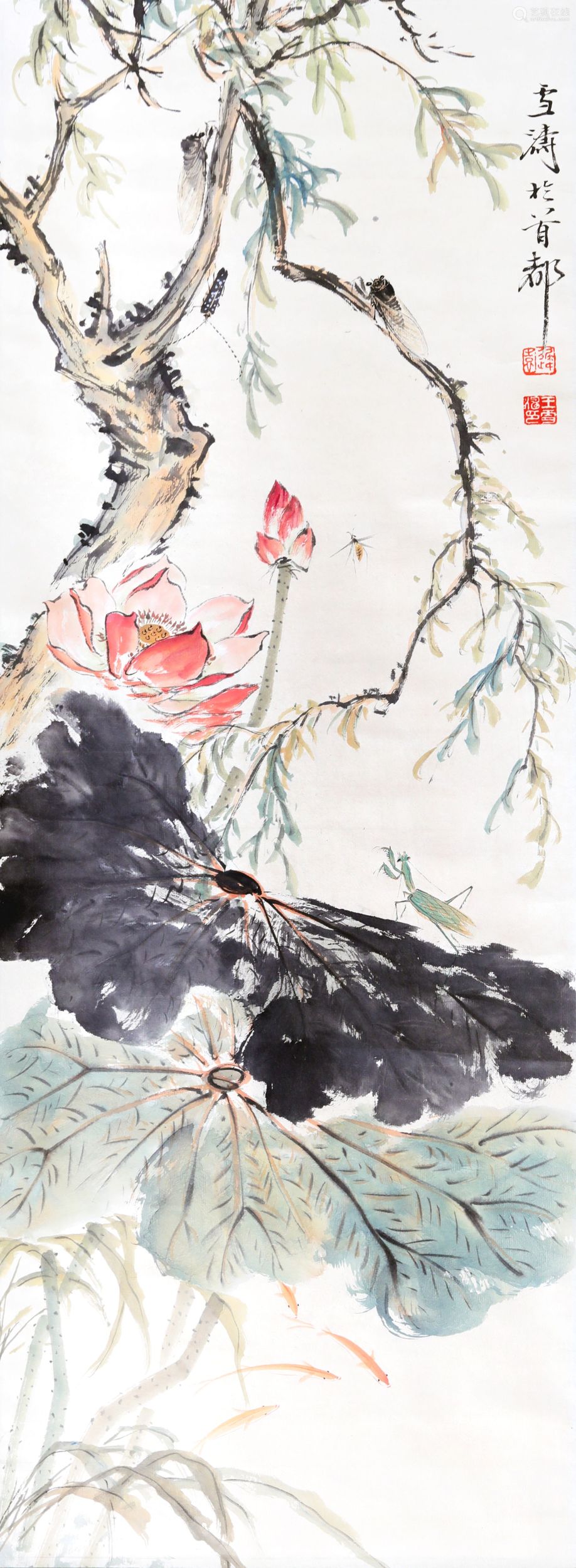 王雪涛荷花