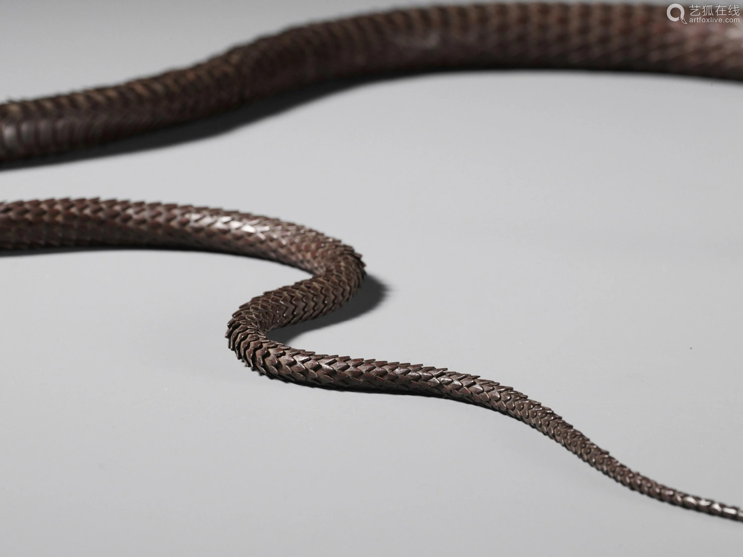 6868lot001568myochinmunekazuasuperbironarticulatedsnake