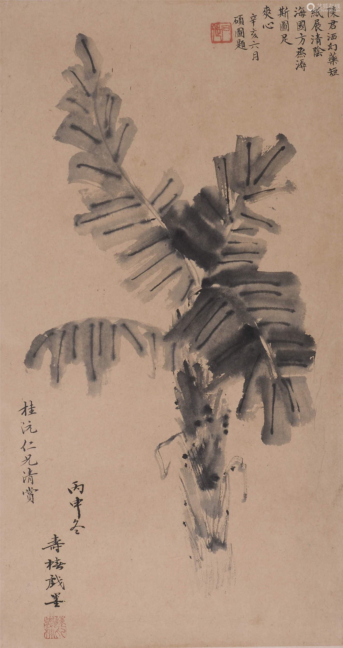 尺寸拍品描述陈寿椿花卉小鸟硕园题;镜片设色纸本荫庭钤印(1:夏瑚之