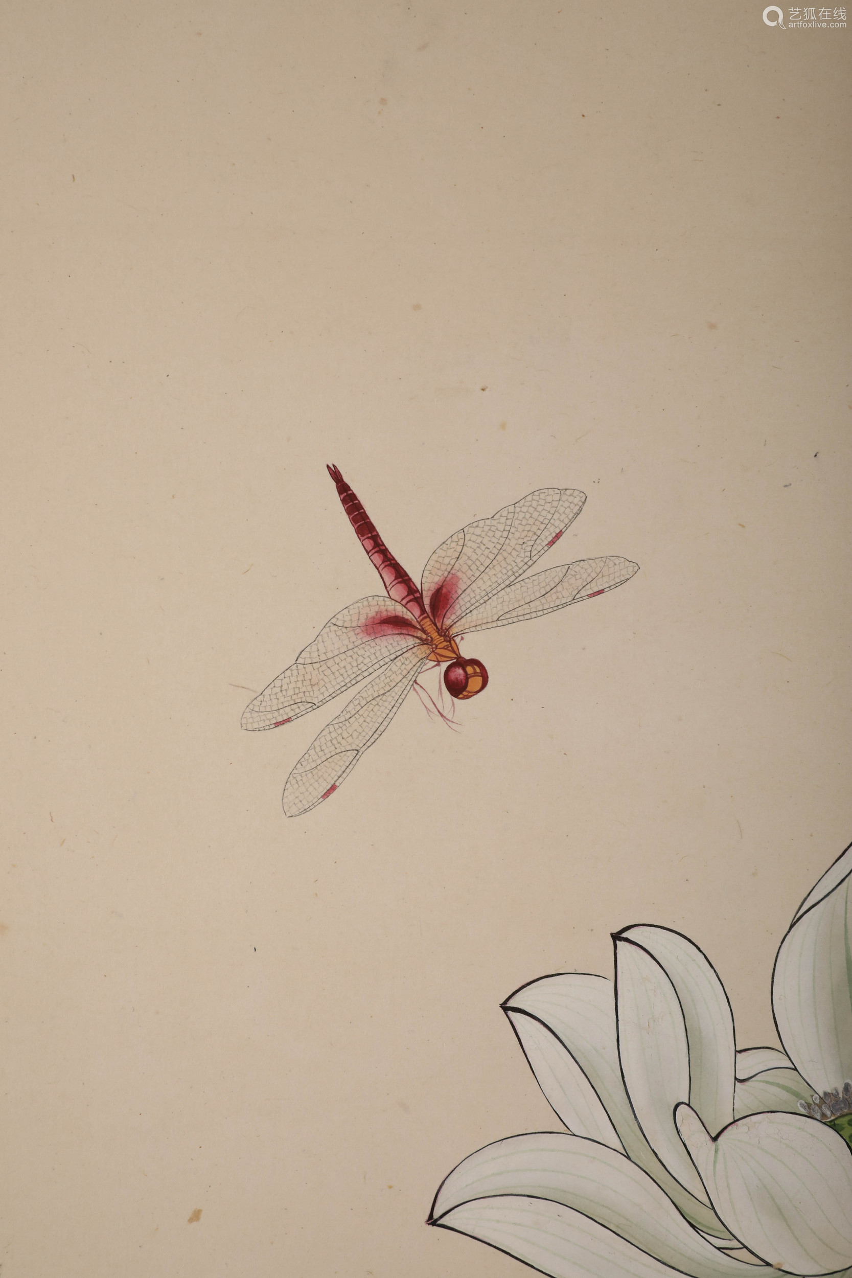 10368a fine chinese hand-drawn painting of lotus and dragonfly