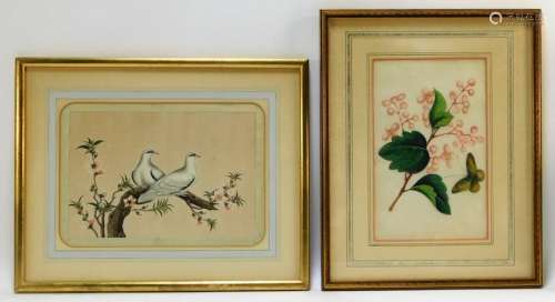 2PC 19C Chinese Botanical Avian Pith Paintings