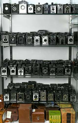 Five shelves of antique box cameras and cases