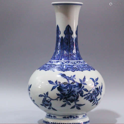 A Chinese Blue and White Porcelain Vase