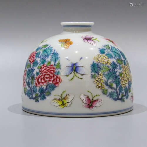 A Chinese Dou-Cai Porcelain Vase