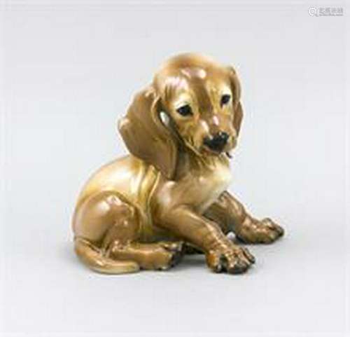 Dachshund puppy, Rosenthal, Selb, mark of the art