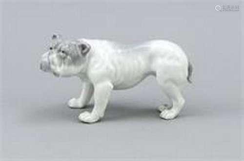 Bulldog, probably German, around 1920, h. 8.5 cm, l. 16