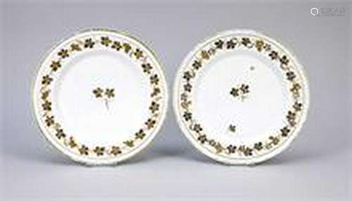 Two plates, Fürstenberg, 18th, c., Decor with