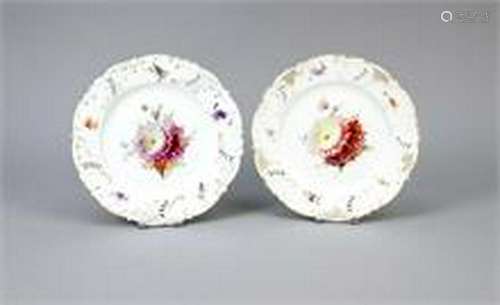 Two plates, Nymphenburg, around 1900, polychrome flower