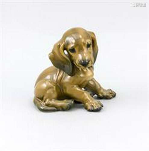 Sitting dachshund puppy, Rosenthal, mark 1934-1956,