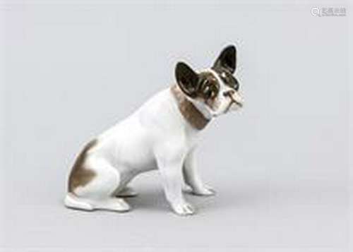 Young French Bulldog, Rosenthal, mark for Selb 1922-33,