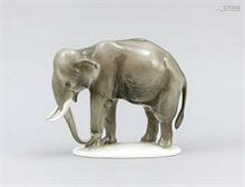 Indian elephant, Rosenthal, mark for Selb 1938-56,