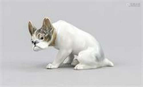 French Bulldog, Rosenthal, Selb, 1920s, designed by