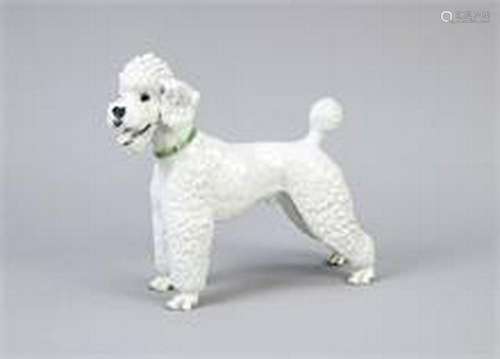 Standing Poodle, Rosenthal, Selb-Plössberg, 1950s,