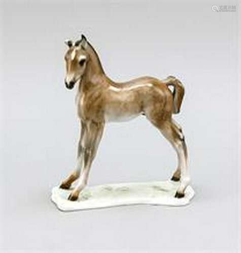 Standing foal, Rosenthal, mark for art department in