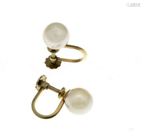Akoya earrings GG 585/000 each with a cream colored