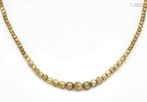 Pearl necklace with carabiner GG 333/000 with