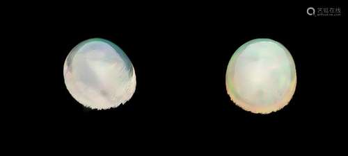 2 opal cabochons, total 3.64 ct, Ethiopia, oval,