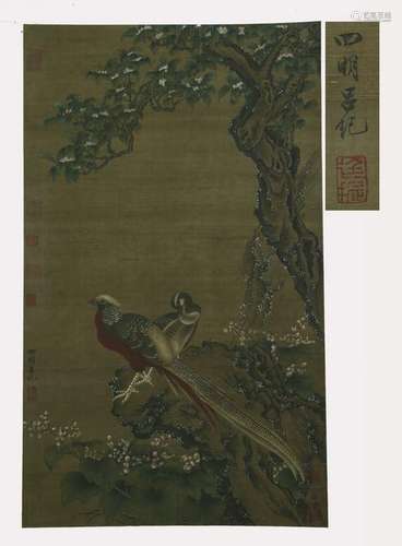 Ji, Painting of Golden Pheasant Scroll (Silk)