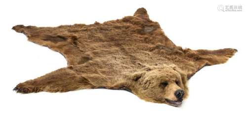 A Taxidermy Bear Skin Rug Length 7 feet 8 inch