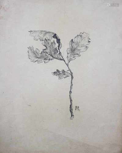 German Artist 19. century, leave,monogrammed, black chalk on paper, reverse study28x18cmThis is a