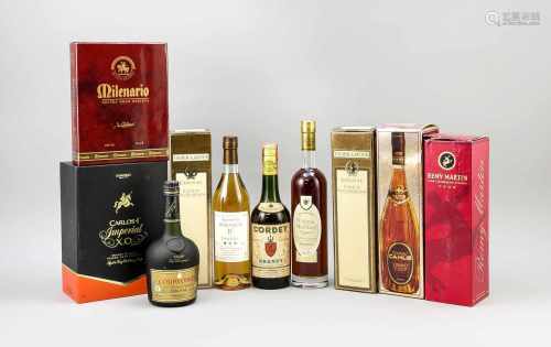 Konvolut von 10 Flaschen Cognac/Brandy, 20. Jh., verschiedene Sorten/Marken, alleungeöffnet, z. T.
