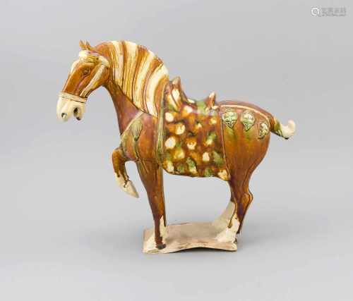 Deko-Tang-Pferd, China, 19./20. Jh., Sancai-Glasur. Auf rechteckiger Plinthe(verzogen/Stand