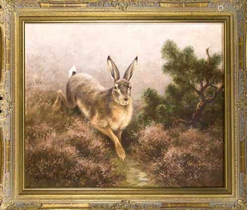 Ernst Ludwig von Aster (1902-1986), deutscher Jagdmaler in Goslar, Hase in der Heide, Ölauf Lwd., 50