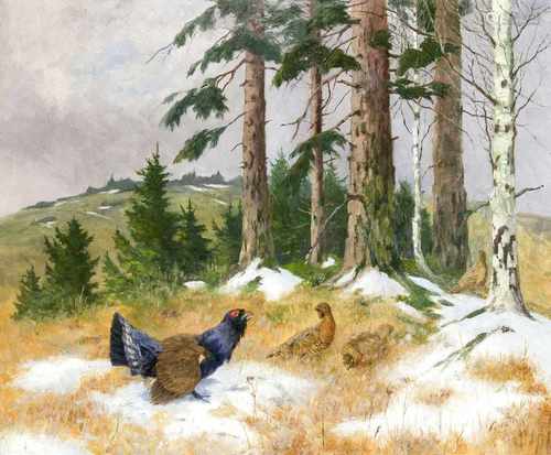 Carl Deiker (1879-1958), Düsseldorfer Tiermaler, Auerhähne in verschneiter Landschaft, Ölauf Lwd.,