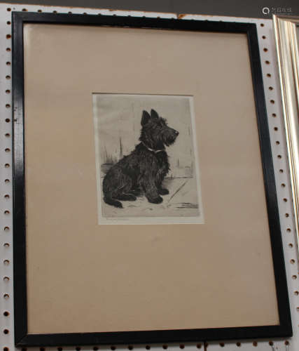 Marion Harvey - 'Where's my Leash?' (Scottish Terrier), early 20th century etching, signed in pencil