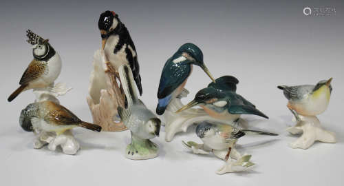 A mixed group of assorted bird models, 20th century, including a pair of Karl Ens kingfishers