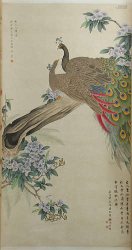 CHINESE SCROLL PAINTING OF PEACOCK ON TREE