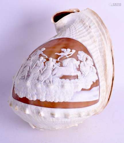 A VERY LARGE 19TH CENTURY CARVED EUROPEAN CAMEO CONCH