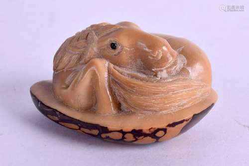 A JAPANESE CARVED NUT HORSE NETSUKE. 5.5 cm x 5 cm.