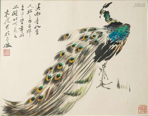 Chinese Painting of a Peacock, Yuan Xiaocen