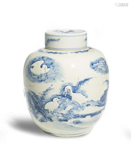 Chinese Blue & White Ginger Jar with Birds, 19th