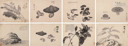 蔡哲夫（1879～1941） 写生博物志册 册页 （八开） 水墨绢本