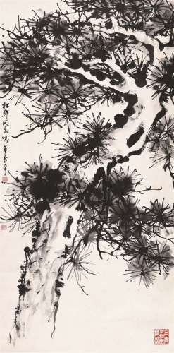 董寿平（1904～1997） 墨松图 立轴 水墨纸本