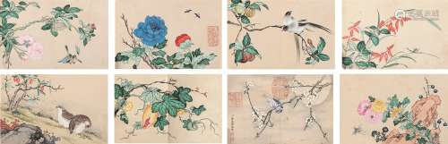 蒋廷锡（1669～1732）（款） 花鸟册 册页 设色纸本