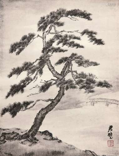 黄君壁（1898～1991） 松 镜心 水墨纸本