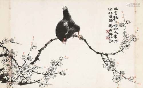 秦古柳（1909～1976） 梅花小鸟 镜心 设色纸本