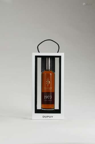 DUPUY COGNAC VINTAGE 1973 FINS BOIS