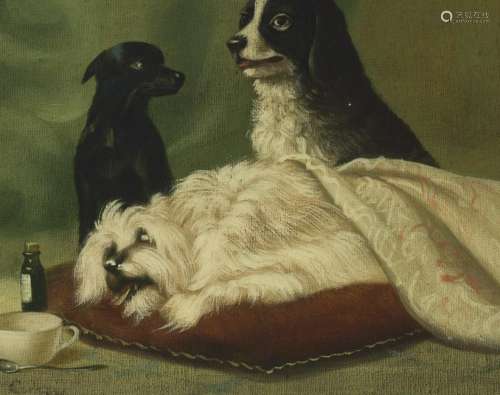 Three dogs on a pillow