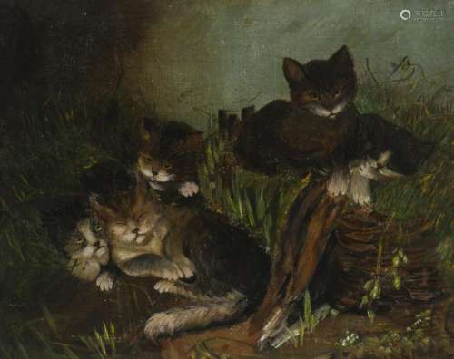 Five cats in a field