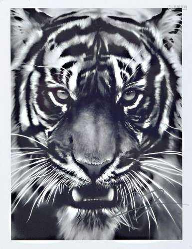 Robert Longo, born 1951, 'Tiger', Presse Foto,nicht