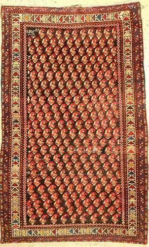 Shirvan Rug