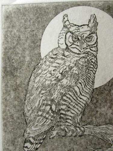 Night Owl - Etching - Bartlett