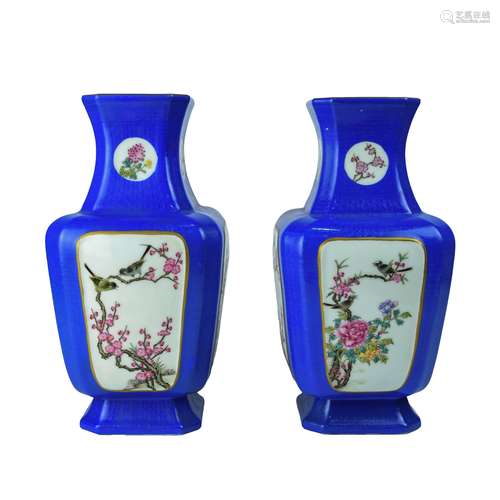 A Pair of Chinese Enamel Porcelain Vases