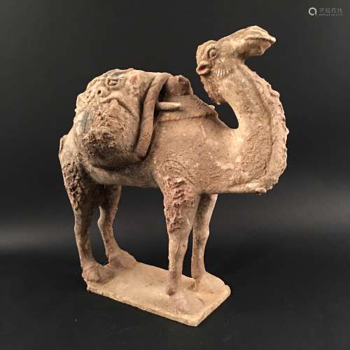 Chinese Pottery 'Camel' Figure